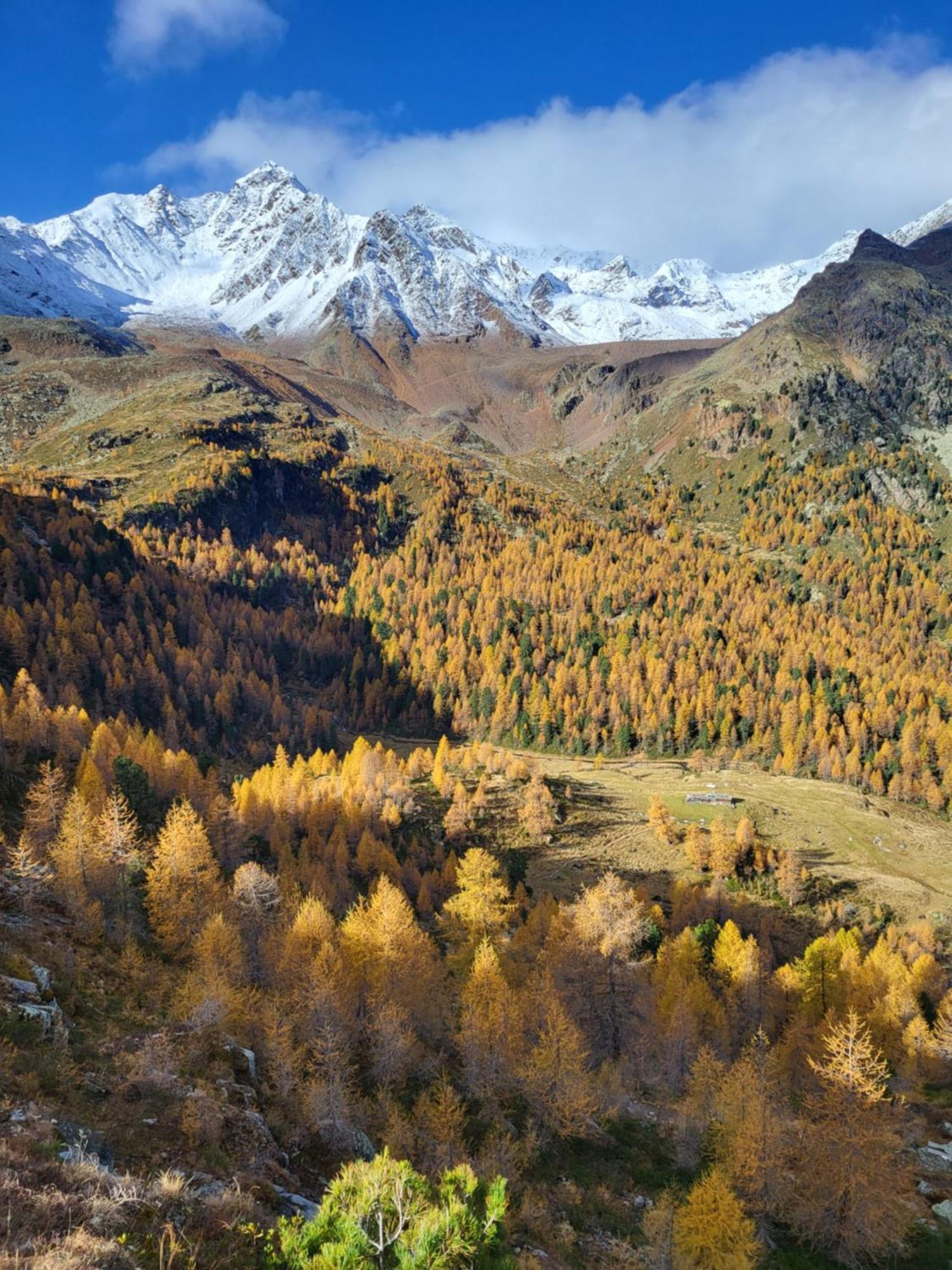 Natur Pur Hotel Unterpichl Ultimo Exteriér fotografie