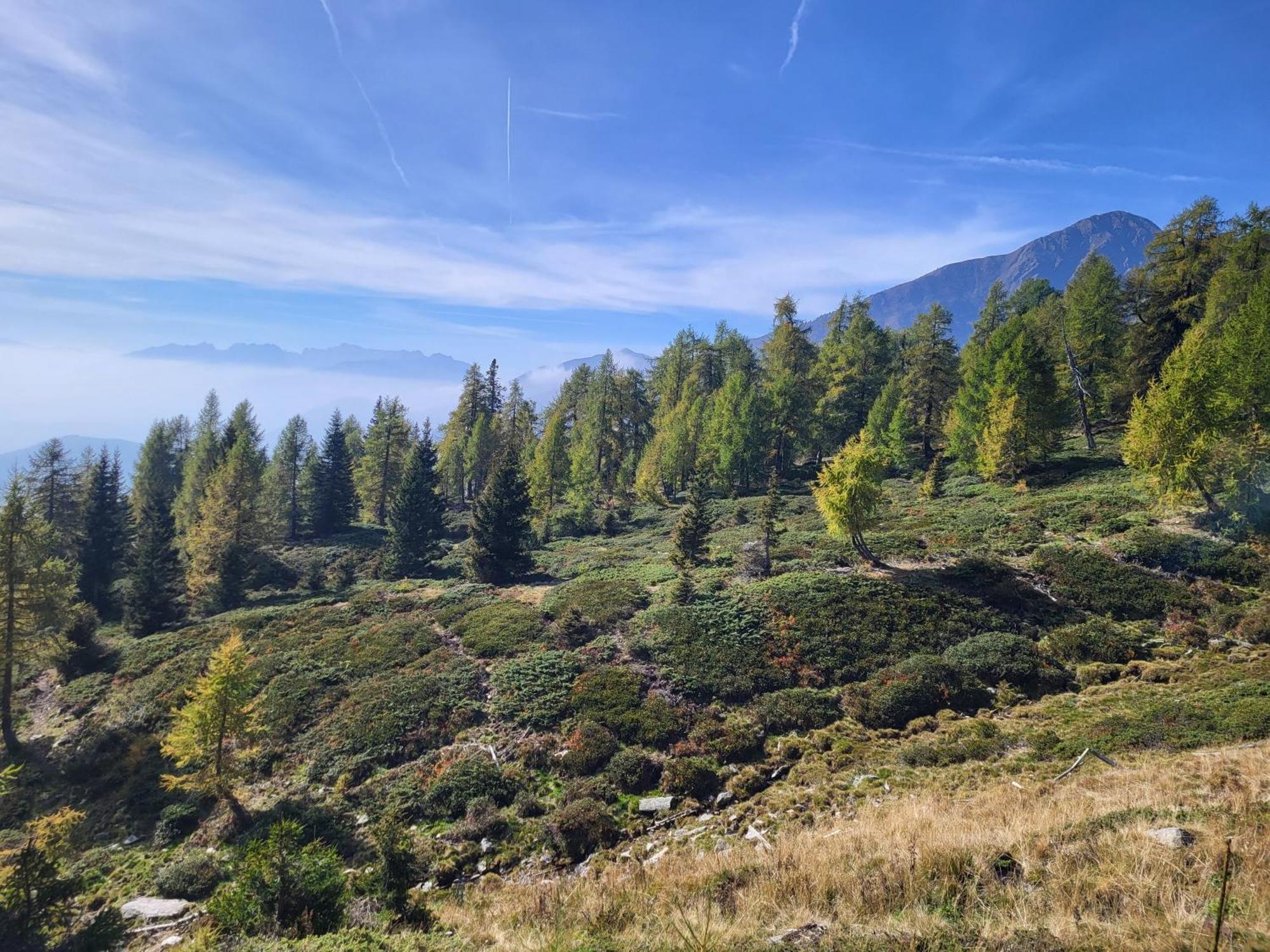 Natur Pur Hotel Unterpichl Ultimo Exteriér fotografie